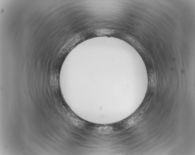 X0000059840426200511181518