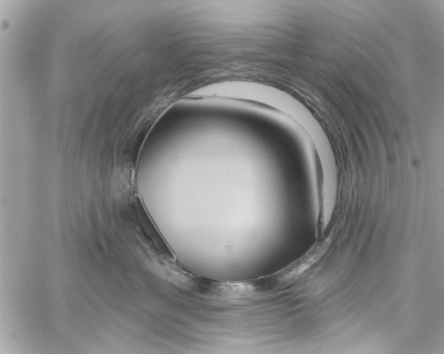 X0000059840429200511181518