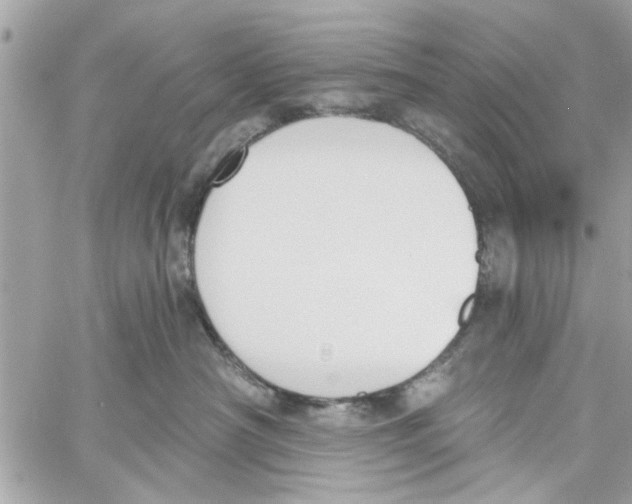 X0000059840430200511181518