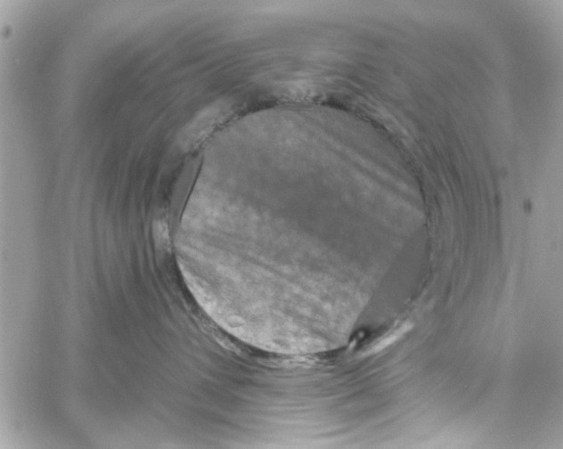 X0000059840432200511181518