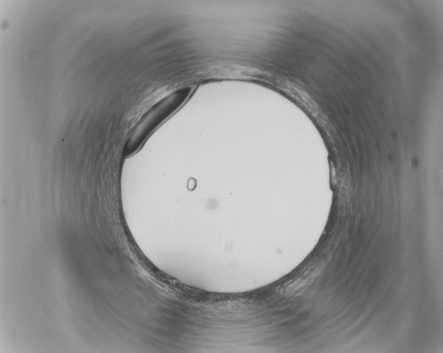 X0000059840433200511181517