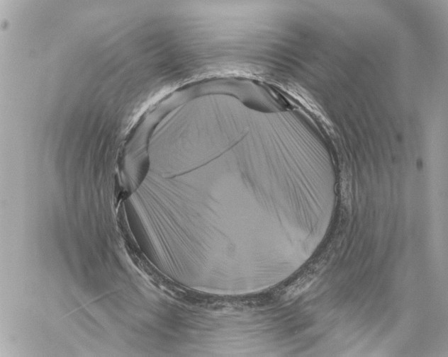 X0000059840434200511181517