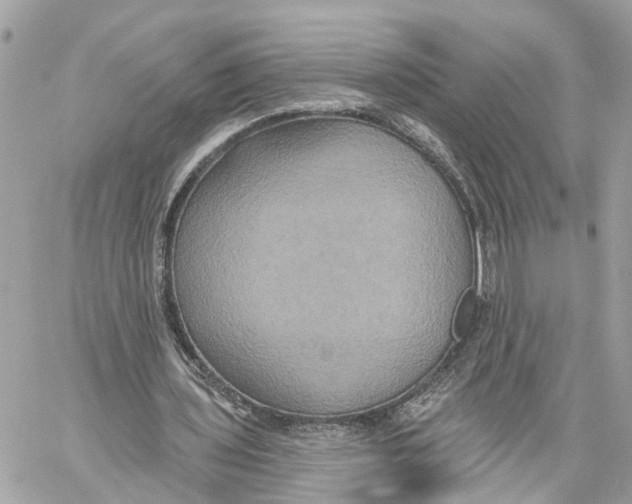 X0000059840435200511181517