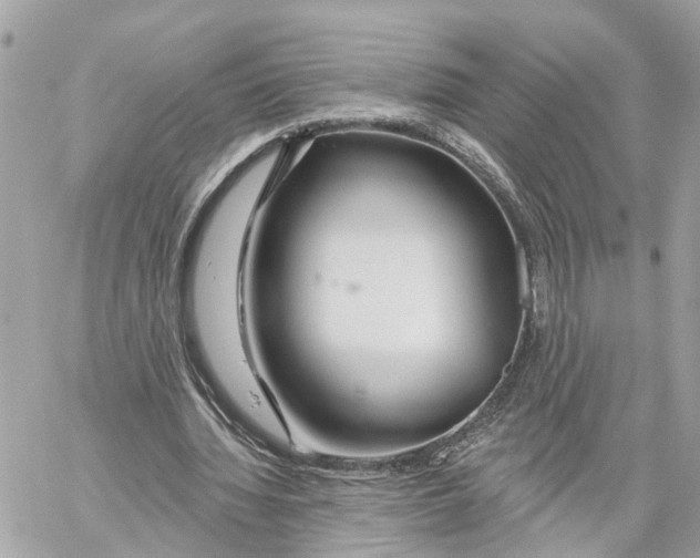 X0000059840436200511181517