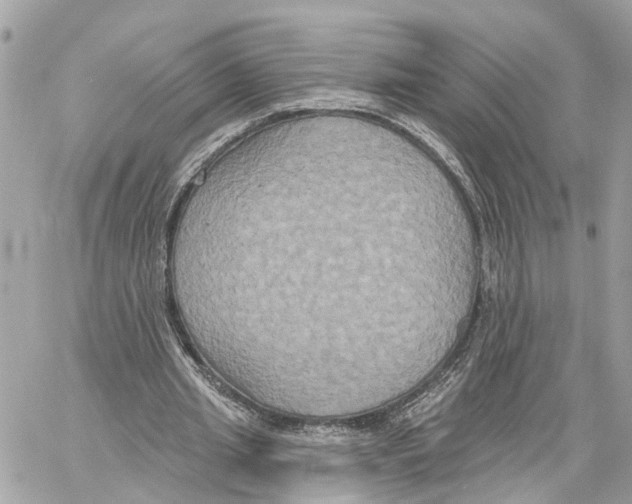 X0000059840437200511181517