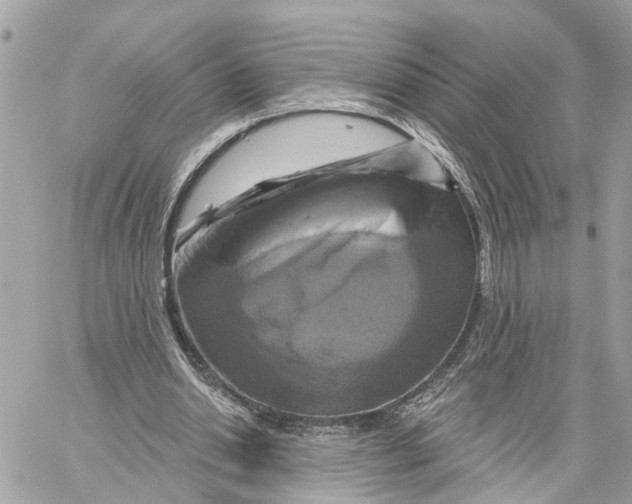 X0000059840438200511181517