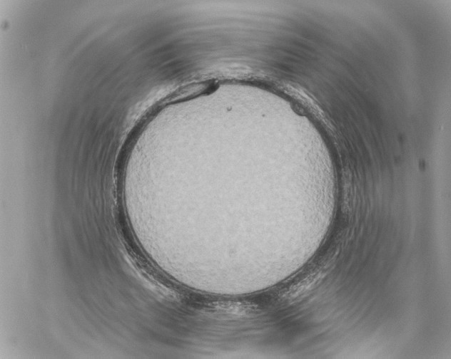 X0000059840439200511181517