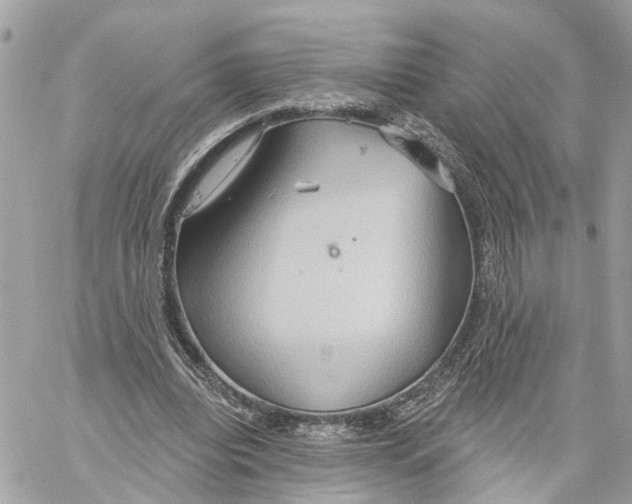 X0000059840440200511181517