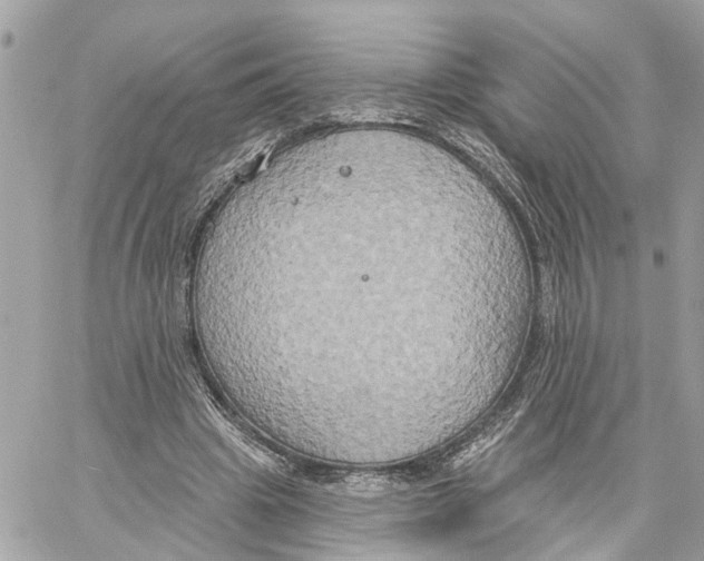 X0000059840441200511181517