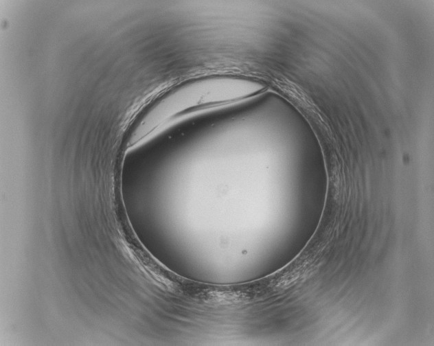 X0000059840442200511181517