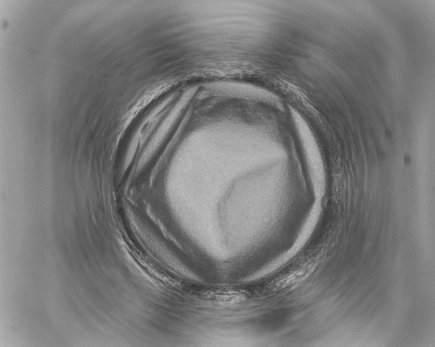 X0000059840443200511181517