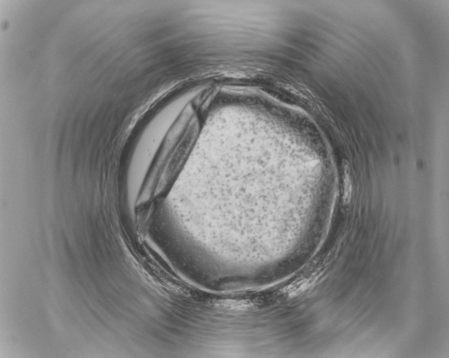 X0000059840444200511181517