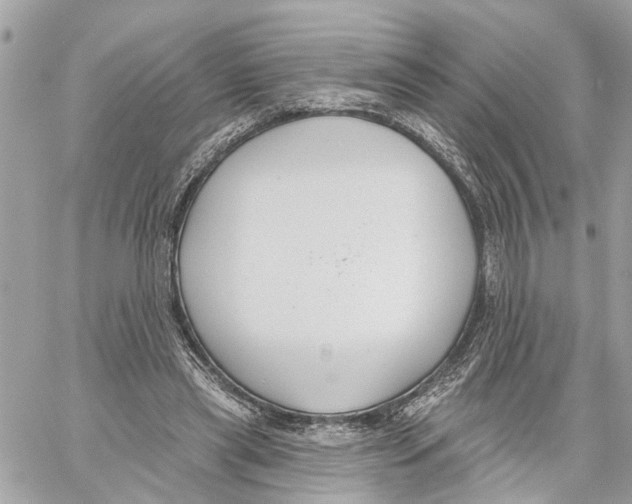 X0000059840445200511181517