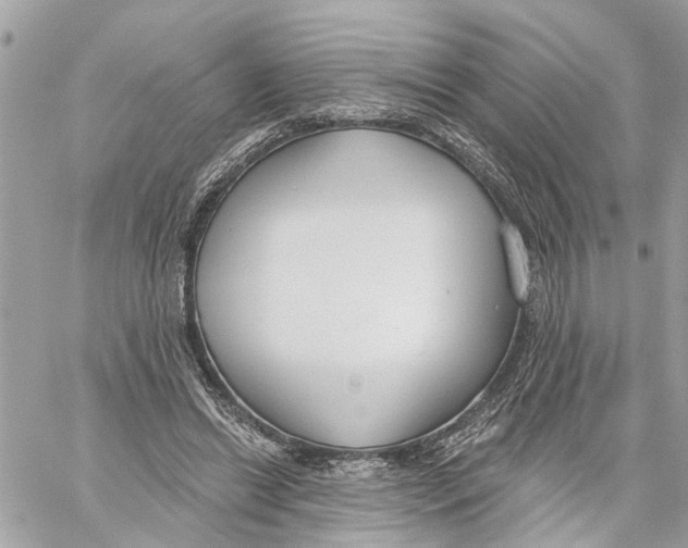 X0000059840446200511181517