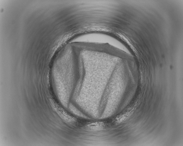 X0000059840447200511181517