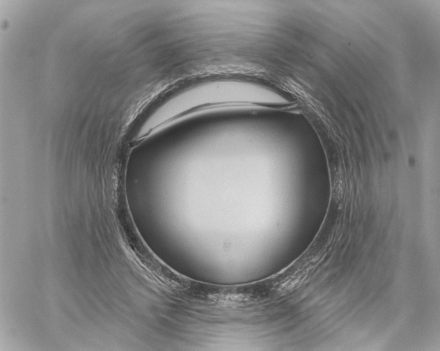 X0000059840448200511181517