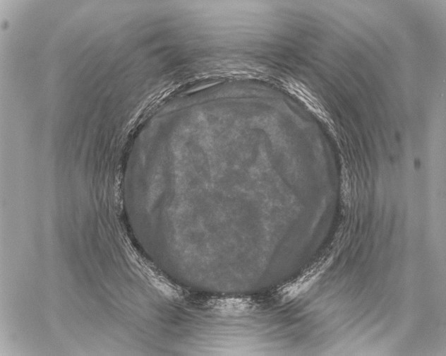 X0000059840449200511181517