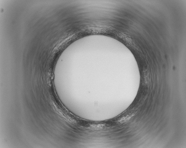 X0000059840450200511181517