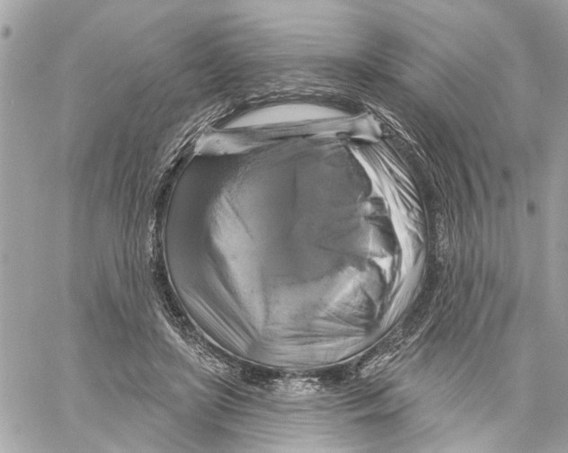 X0000059840451200511181517