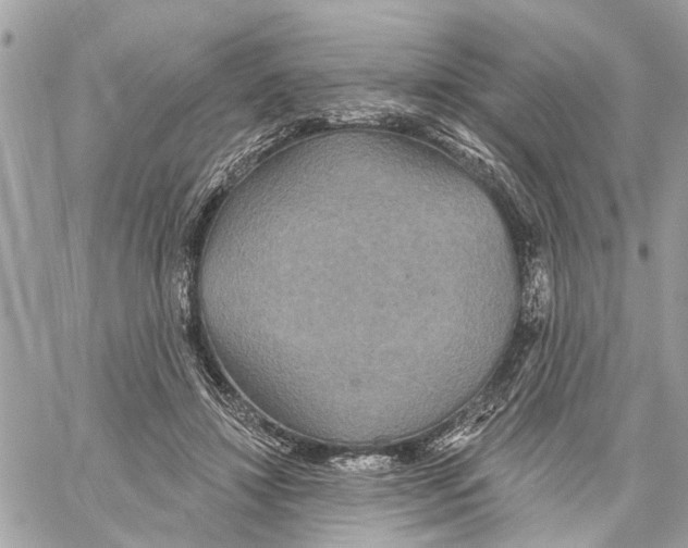 X0000059840452200511181517