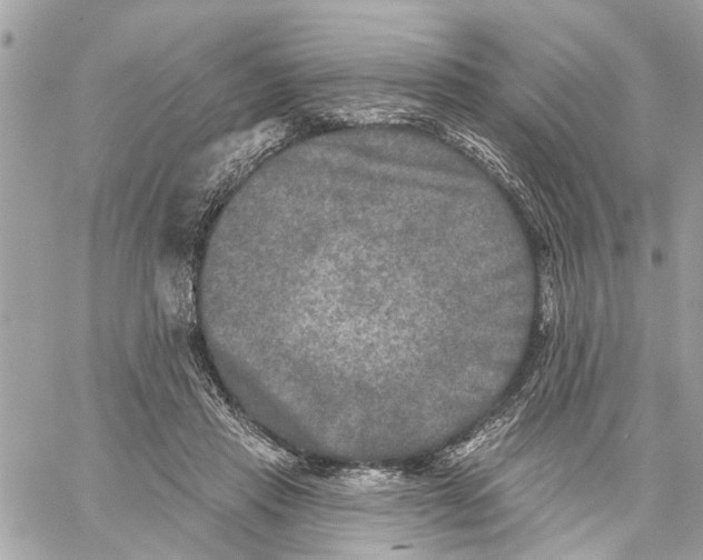 X0000059840453200511181517