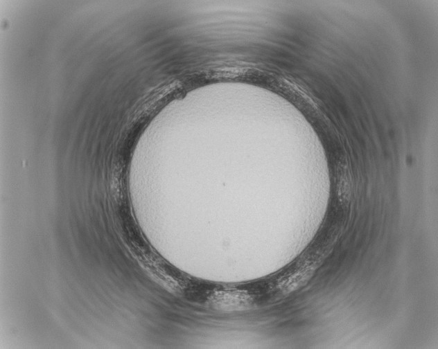 X0000059840455200511181517