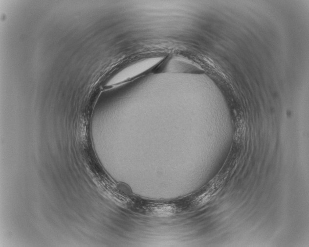 X0000059840456200511181517