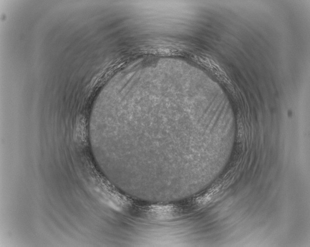 X0000059840457200511181517