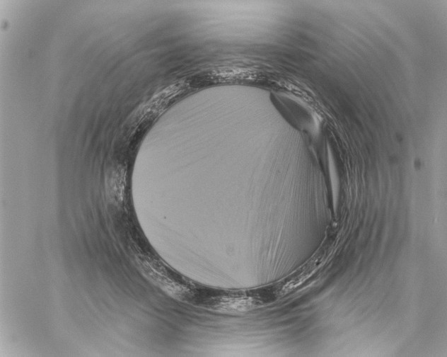 X0000059840458200511181517