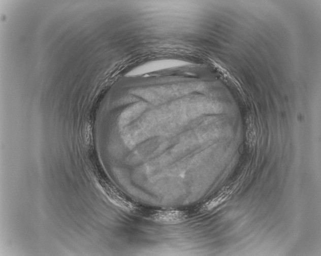 X0000059840459200511181517