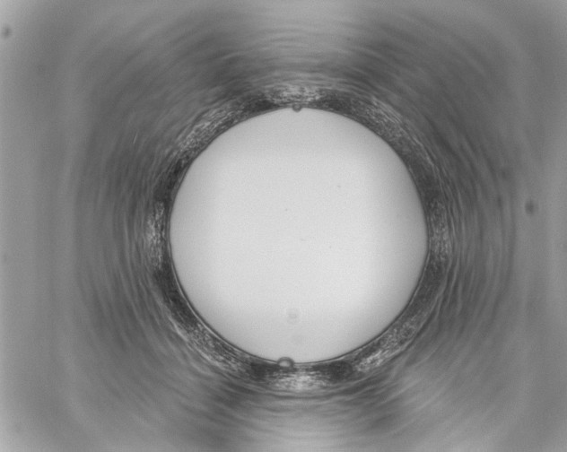 X0000059840460200511181517