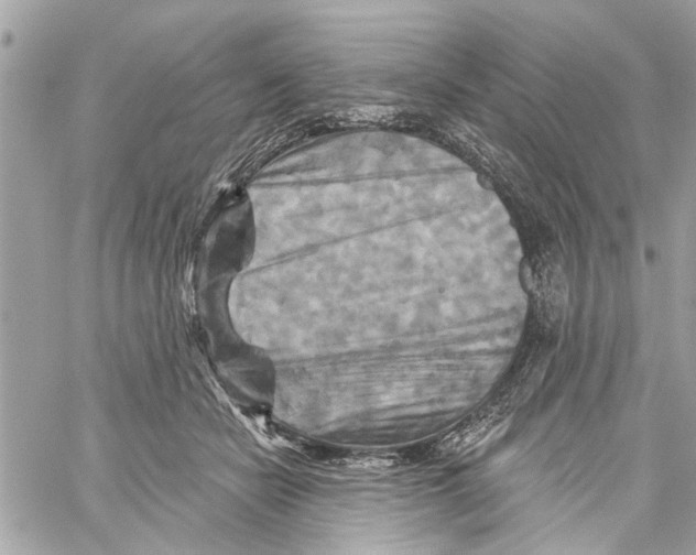 X0000059840462200511181517