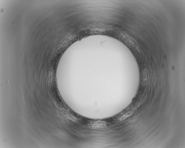 X0000059840463200511181517