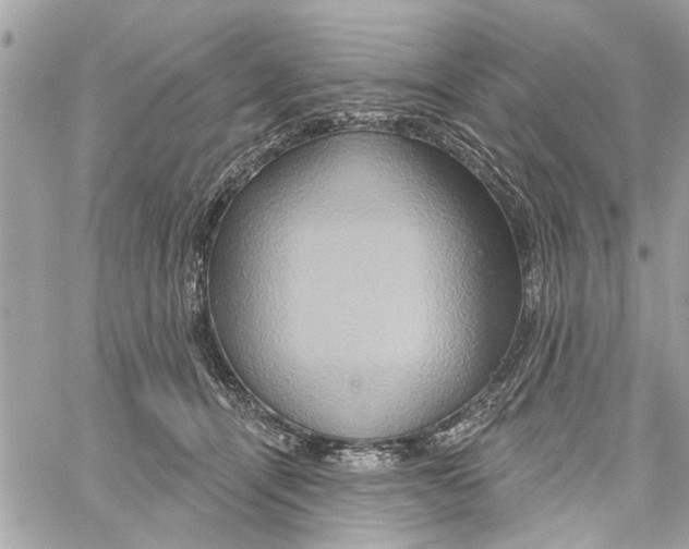 X0000059840464200511181517