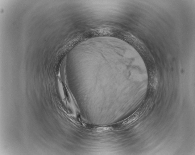 X0000059840465200511181517