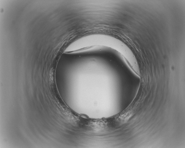 X0000059840466200511181517