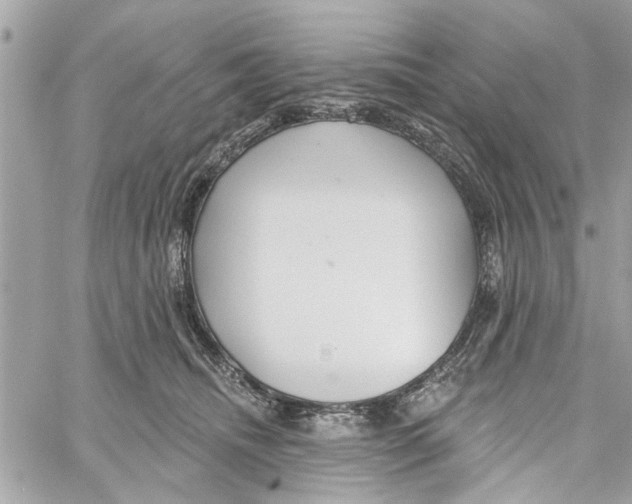 X0000059840468200511181517