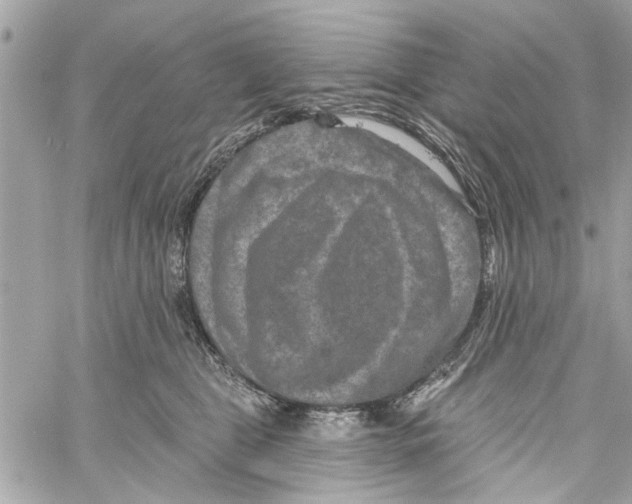 X0000059840469200511181517