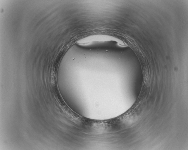 X0000059840470200511181517