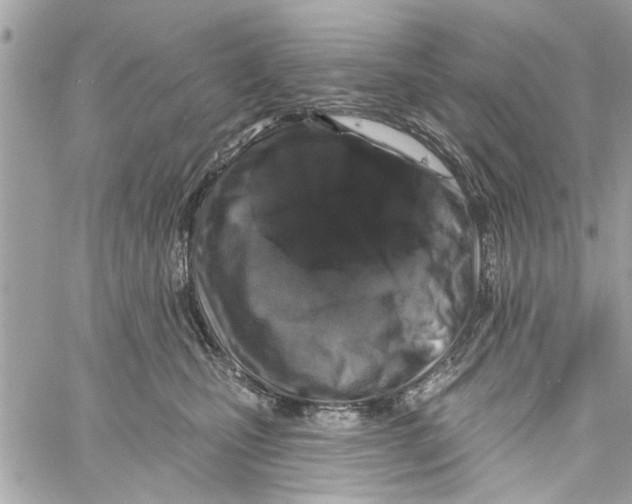 X0000059840471200511181517