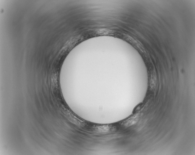 X0000059840473200511181517