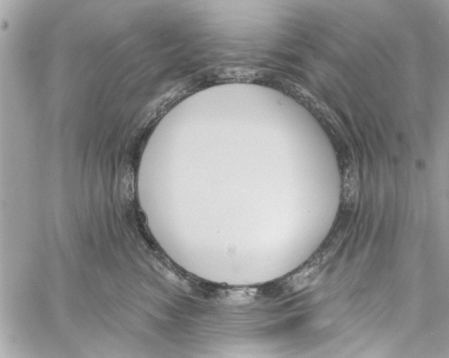 X0000059840474200511181517