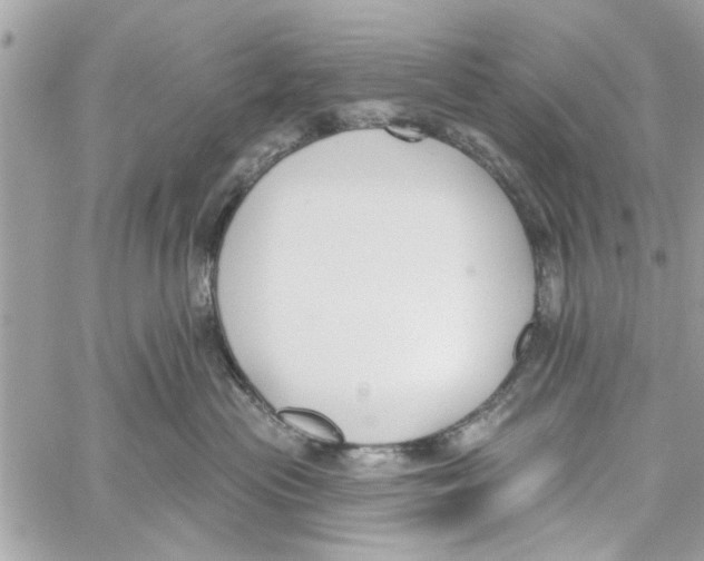 X0000059840477200511181517