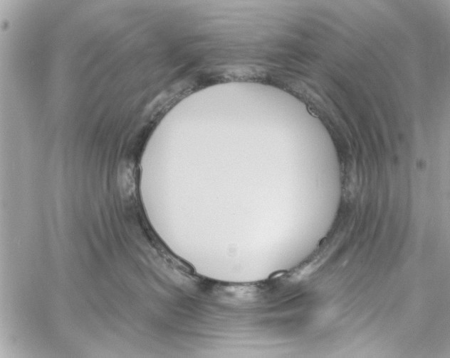 X0000059840478200511181517