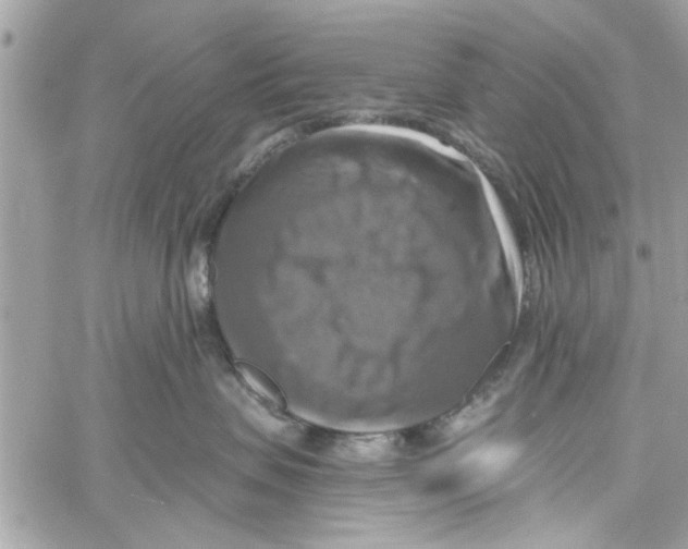 X0000059840479200511181518