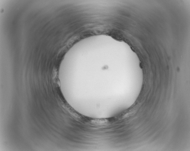 X0000059840480200511181518