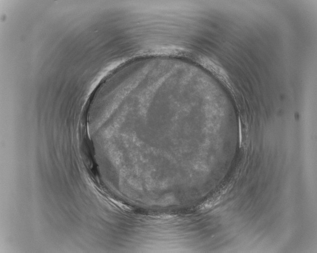 X0000059840483200511181517