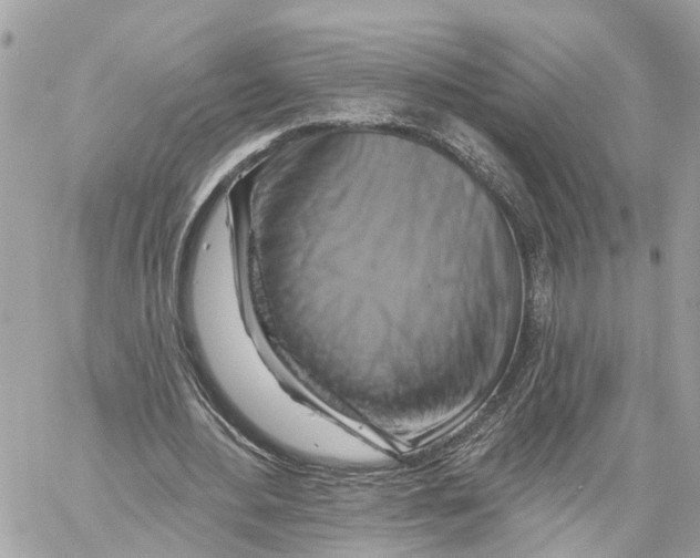 X0000059840484200511181517