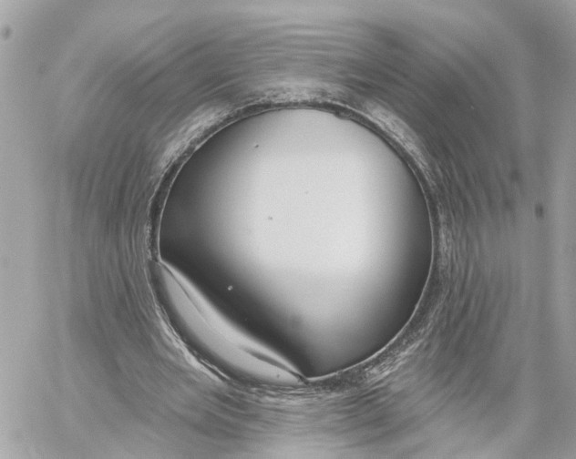 X0000059840485200511181517