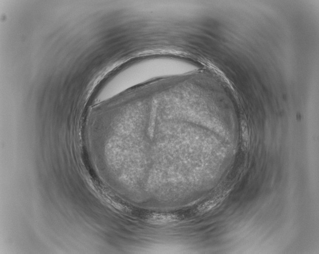 X0000059840487200511181517